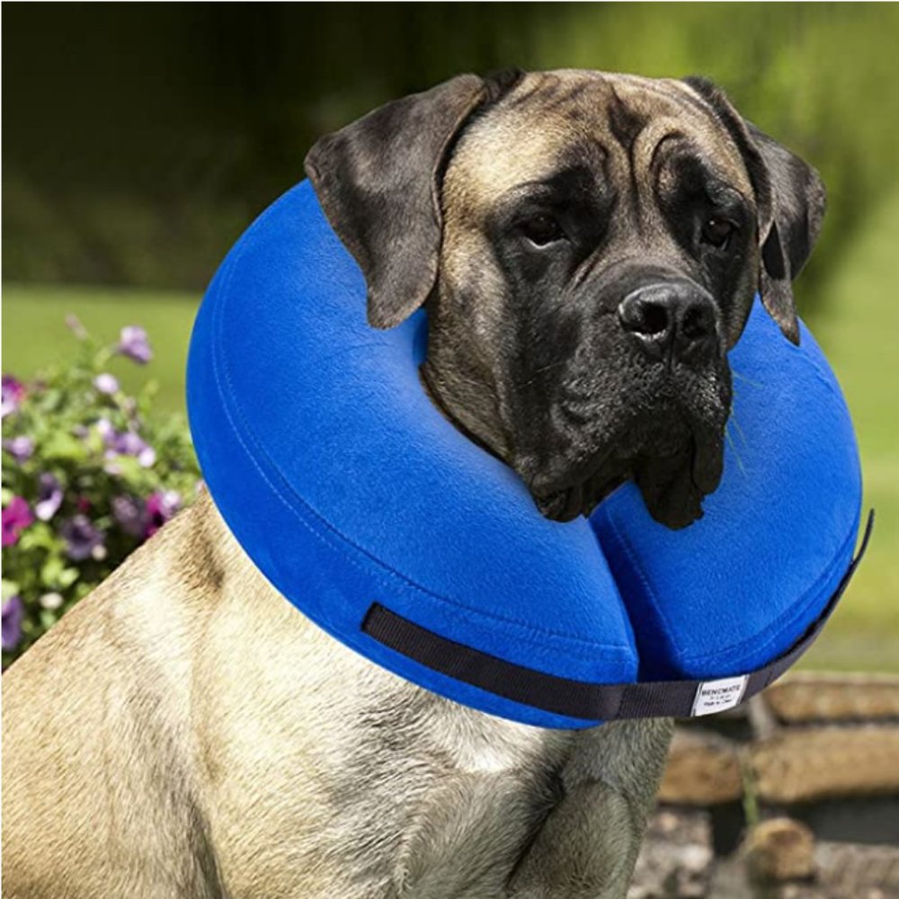 BENCMATE Protective Inflatable Collar for Dogs and Cats - Soft Pet Recovery Coll